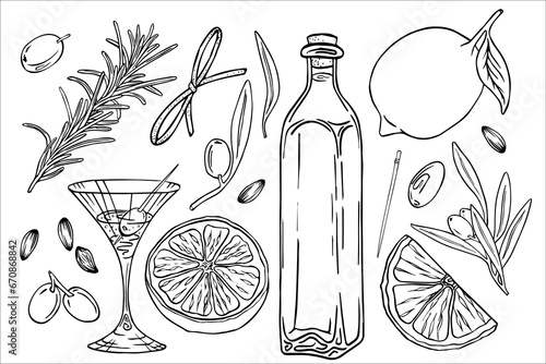 Olive oil set, graphic, vector, hand drawn doodle. Elements for food, sunflower, olives, branch, bag, lemon, kitchen board, extra virgin bottle. Martinki, glass of cocktail.