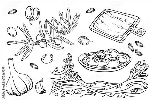 Olive oil set, graphic, vector, hand drawn doodle. Elements for food, sunflower, olives, branch, bag, lemon, kitchen board, extra virgin bottle. Oil for cosmetics and serums.