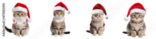 Set of cats wearing Santa Claus hat, Merry Christmas, transparent PNG, isolated © Nattawat
