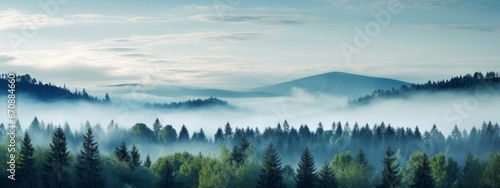 Panoramic view of a foggy forest, Background image. photo