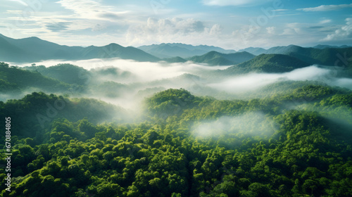Rainforest or jungle aerial view. Top view of a green forest with mist  for earth day concept