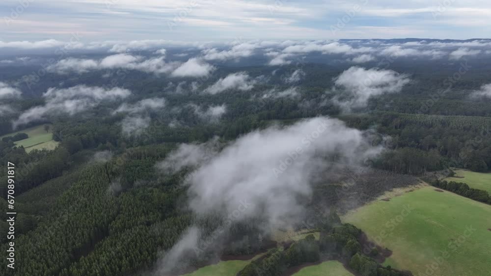 Flying above Beech Forest through low flying white clouds Victoria Australia Flying above Beech Forest through low flying white clouds Victoria Australia