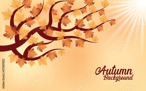  Autumn background with branches tree