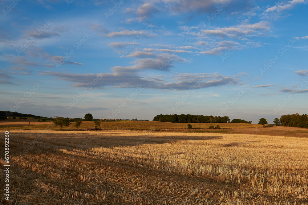 Sommer 2022 in Sachsen	