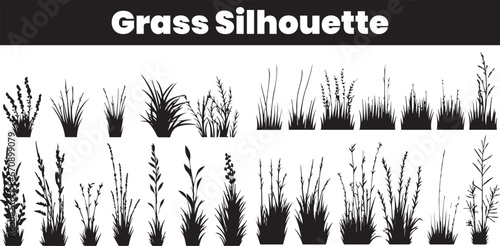 grass silhouettes collection, plants and grasses for decoration in the garden