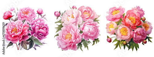 Watercolor pink peony flowers bouquet, peony flowers isolated on transparent background photo