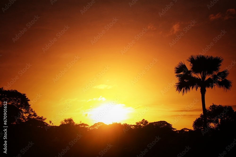 The sunset over nature can be a truly breathtaking sight. The way the vibrant colors blend with the natural landscape can create a serene and mesmerizing moment. If you have the opportunity, experienc The sunset over nature can be a truly breathtaking sight. The way the vibrant colors blend with the natural landscape can create a serene and mesmerizing moment. If you have the opportunity, experienc