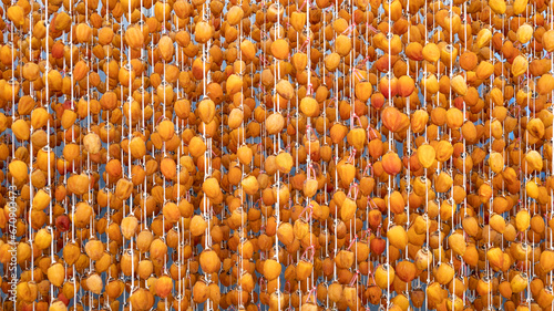 Hanging persimmon - Japanese Dried Persimmon (Hoshigaki) hanged on strings to dry a common sight