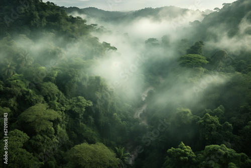 ジャングル © satoyama