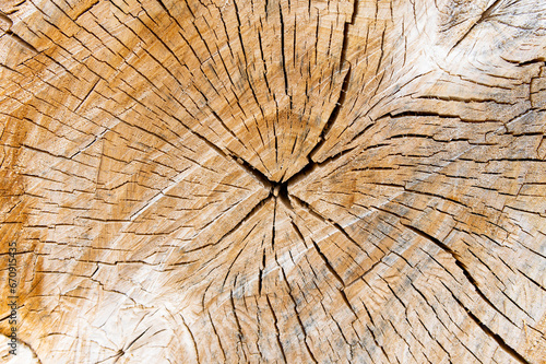 Old wood texture with natural pattern. Abstract background and texture for design.