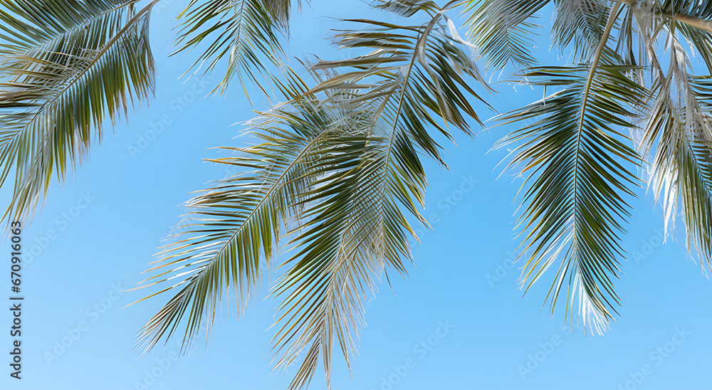 palm tree in the sky ai generative