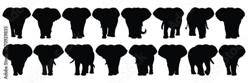 Fototapeta Naklejka Na Ścianę i Meble -  Elephant silhouettes set, large pack of vector silhouette design, isolated white background