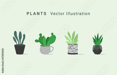 Plants vector illustration, succulents in pots, cactus, flat style.
