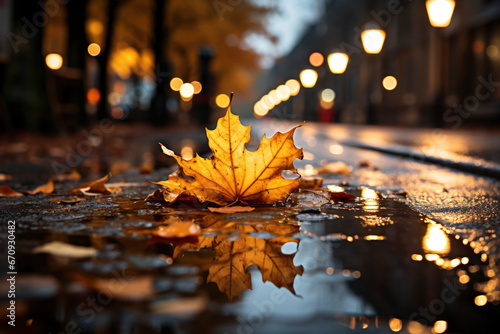 Dry fallen leaves lie on a wet asphalt pavement, against the background of trees, on an autumn morning, in a park. © Tjeerd
