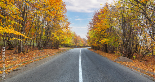 Road passing through an autumn forest in the mountains