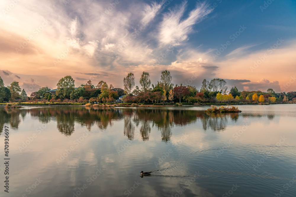 茨城県水戸市　紅葉映える千波湖の朝
