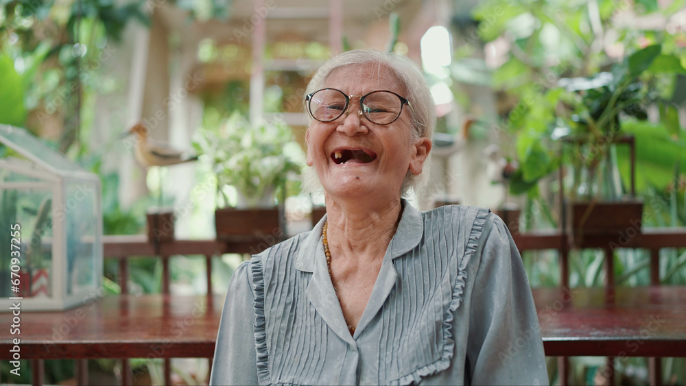 Portrait happy Asian senior woman laughing, smiling and looking at camera while sitting at home. Elderly older lifestyle, Aged people and relaxation concept Portrait happy Asian senior woman laughing, smiling and looking at camera while sitting at home. Elderly older lifestyle, Aged people and relaxation concept