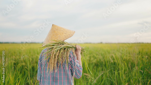 Back view of elderly asian woman farmer in straw hat holding rice on shoulders while walking in the rice fields. Farmer in straw hat holding rice during the harvesting season photo