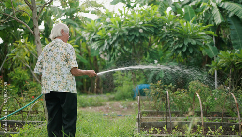 Happy Asian elderly woman watering plants in the backyard. Asian elderly woman holding garden hose watering plants green garden at home. Lifestyle of retirement concept