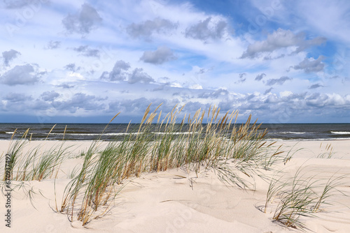 Grass and sand on the Baltic Sea coast