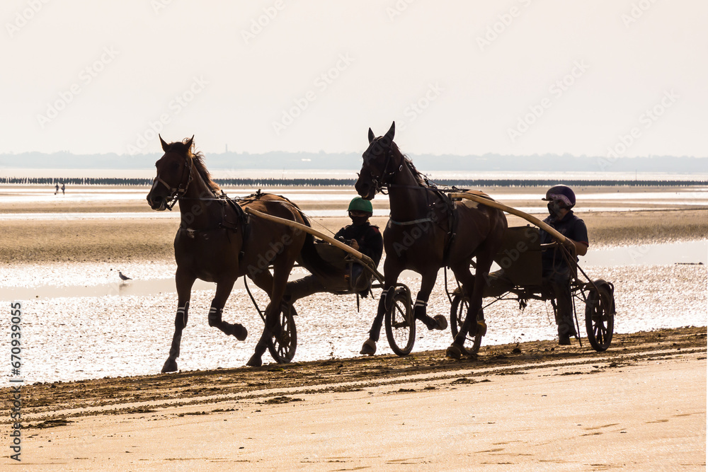 Two harness racing horses trotting on the beach in the morning. Two harness racing horses trotting on the beach in the morning.