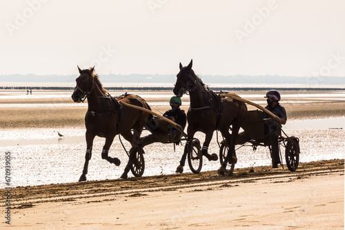 Two harness racing horses trotting on the beach in the morning.