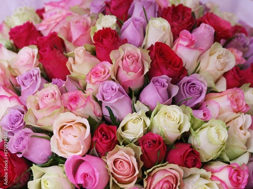 Background of a lot of multicolored roses in a beautiful bouquet.