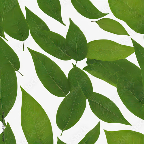 pattern of green tree leaves. White background