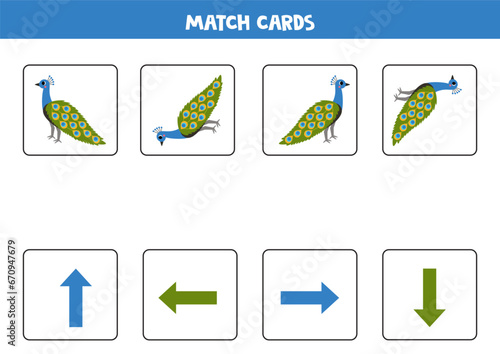 Left, right, up or down. Spatial orientation with cute peacock.