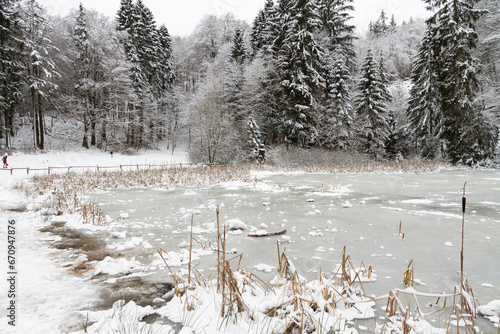 Frau Holle Teich auf dem Hohen Meißner photo