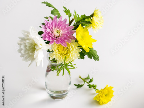 Wallpaper Mural delicate bouquet of multi-colored chrysanthemums on a white background Torontodigital.ca