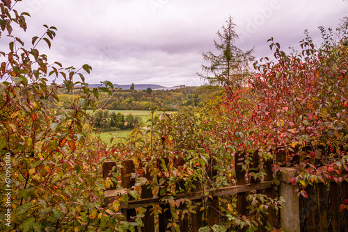 Der Bückeberg im Herbst