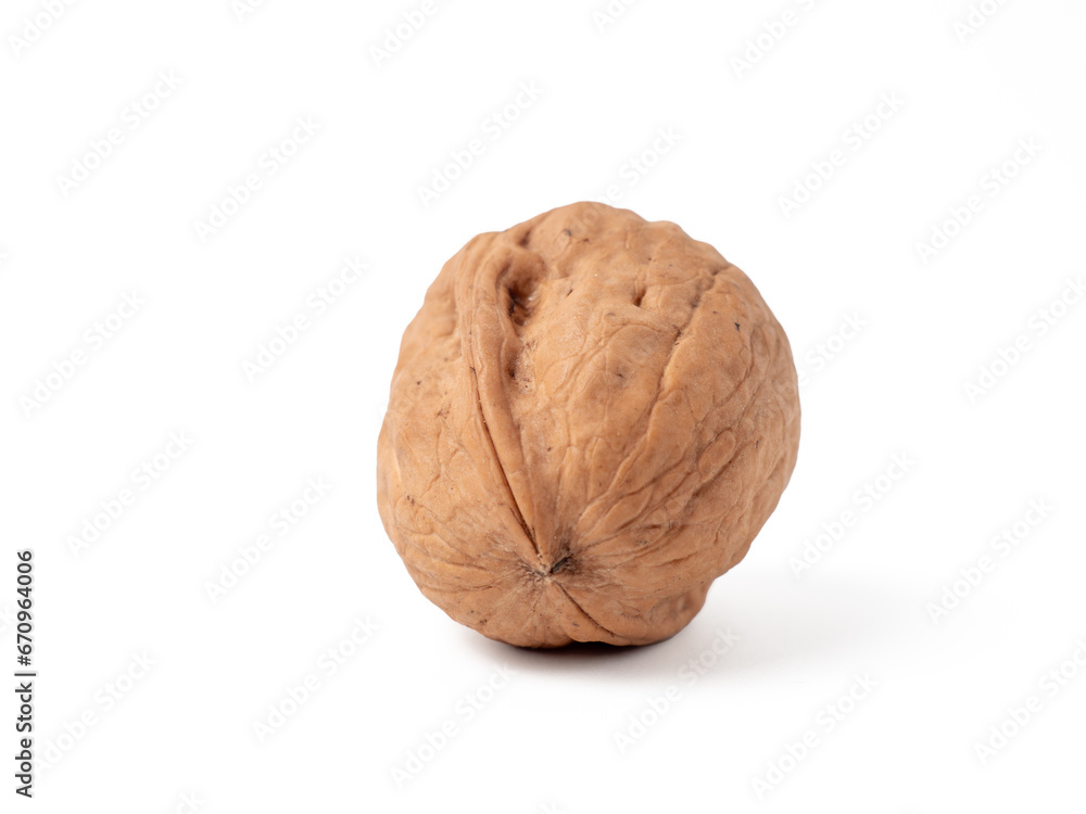 Walnut isolated on white background. Walnut closeup on white. Walnut isolated on white background. Walnut closeup on white.