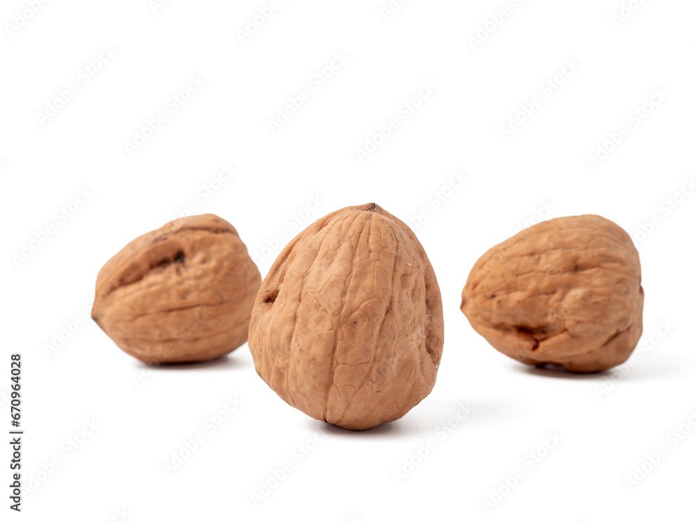 Walnut isolated on white background. Walnut closeup on white. Walnut isolated on white background. Walnut closeup on white.