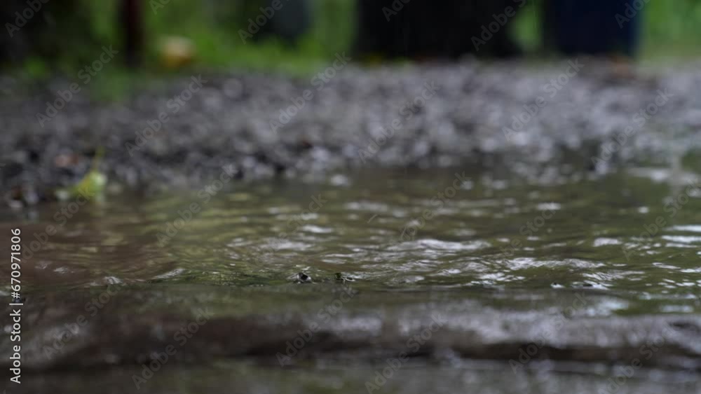 Close-up of raindrops hitting wet rocks on the ground, creating ripples in the water and a serene natural atmosphere. Close-up of raindrops hitting wet rocks on the ground, creating ripples in the water and a serene natural atmosphere.
