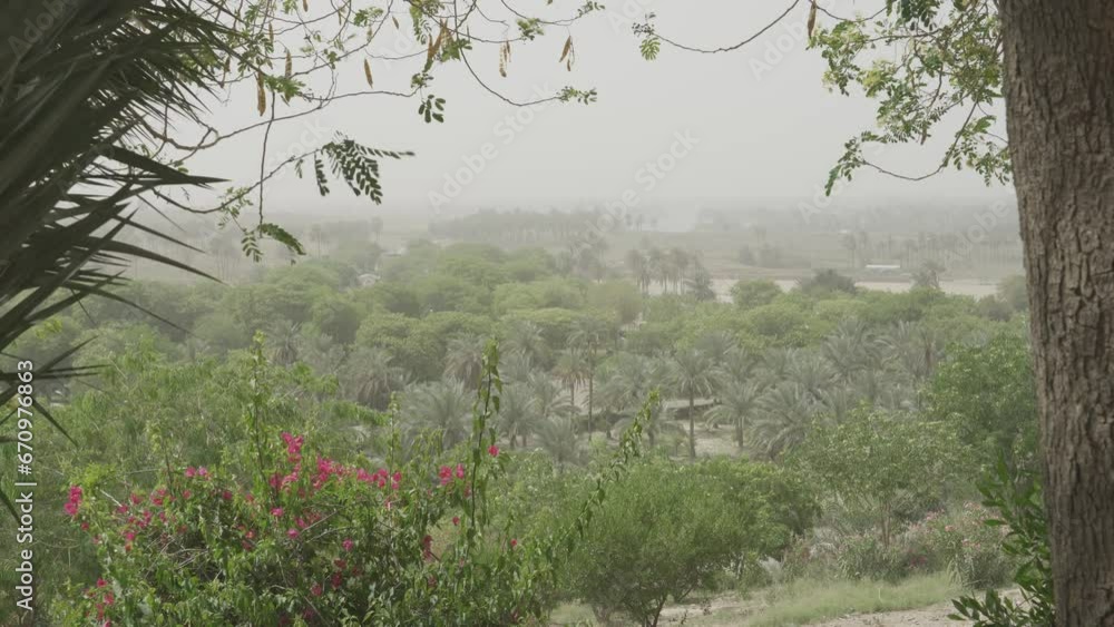 Saddam Hussein Palace Garden, Iraq