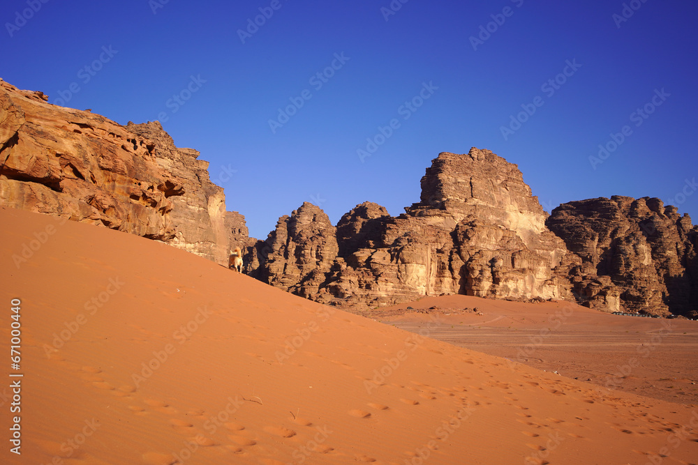 Beautiful orange sands dune of Wadi Rum desert the unique landscape Beautiful orange sands dune of Wadi Rum desert the unique landscape