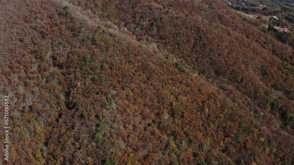 ドローン映像:見頃を迎えた白馬村の山の紅葉 ドローン映像:見頃を迎えた白馬村の山の紅葉