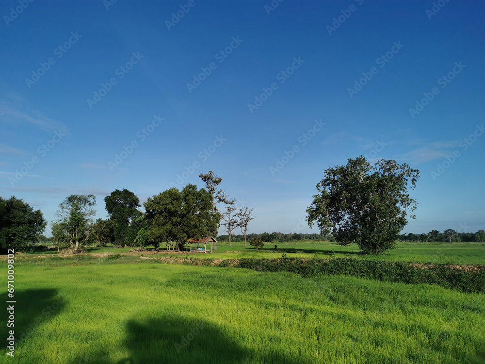 nature landscape of countryside and grass field nature landscape of countryside and grass field
