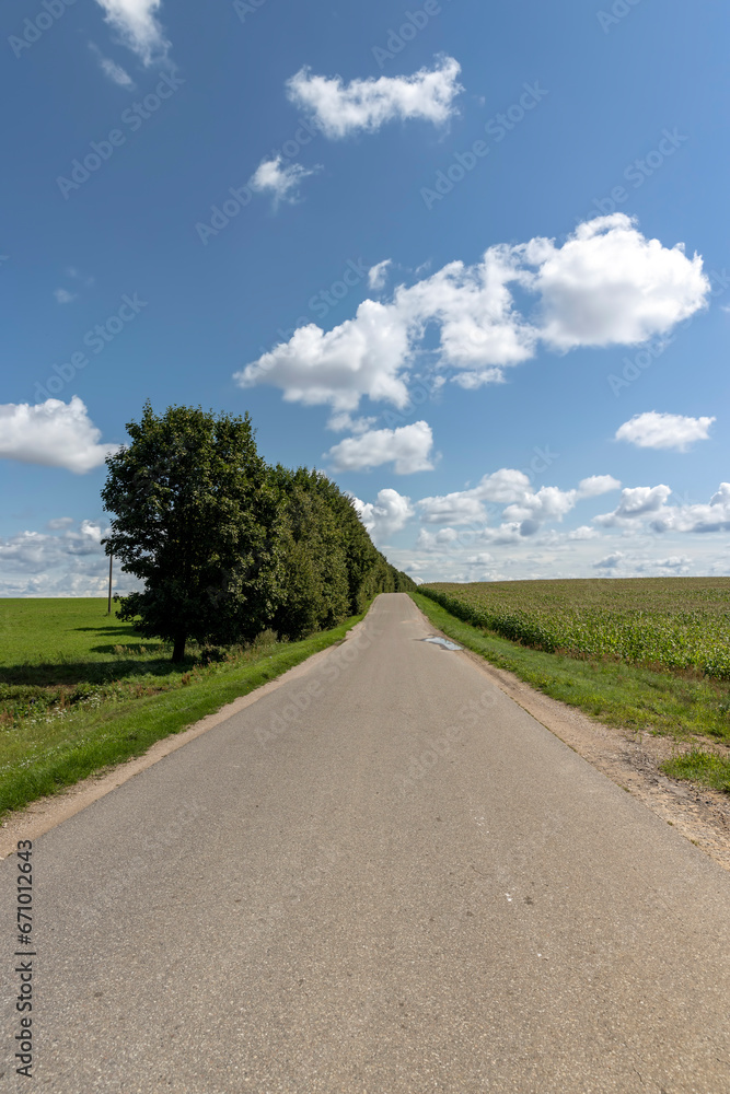 paved road in sunny weather paved road in sunny weather