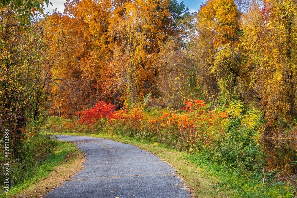 Path through an autumn landscape