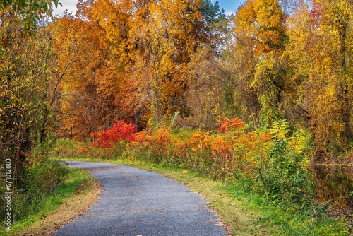 Path through an autumn landscape