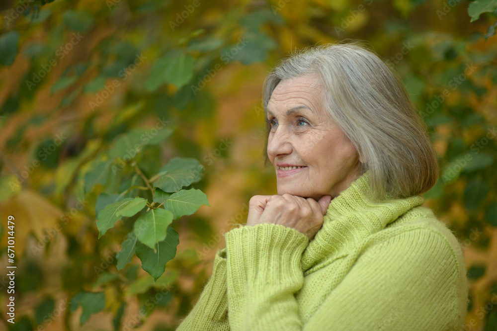 Senior woman walking in the park in autumn. Senior woman walking in the park in autumn.