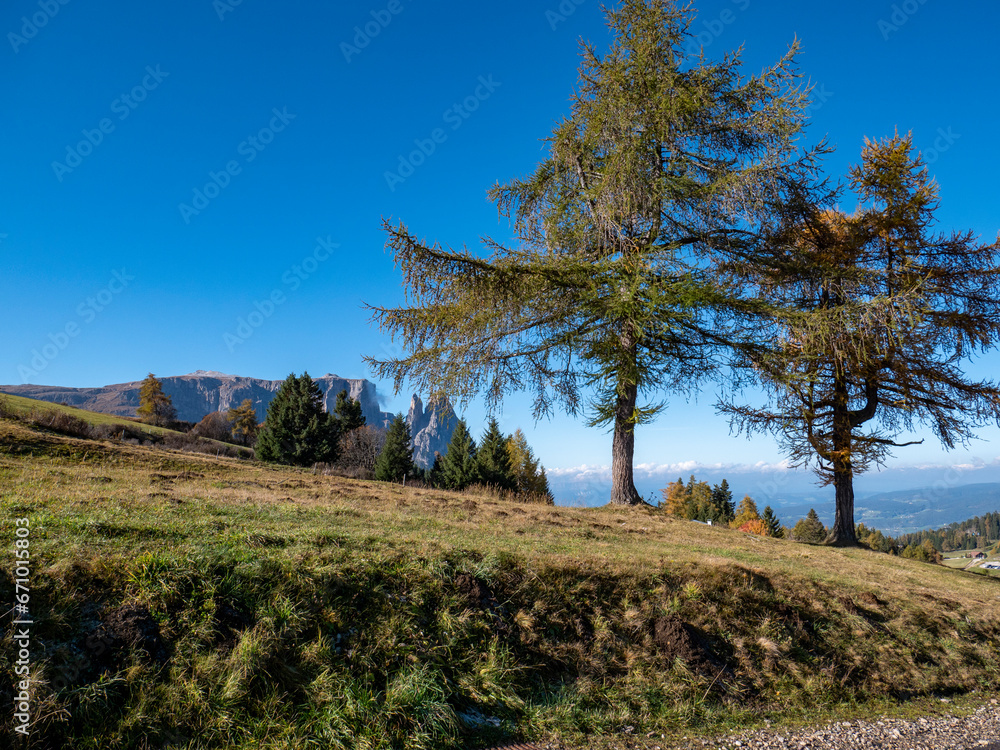 Obraz premium Herbstliches Panorama auf der Seiser Alm in den Dolomiten, Italien