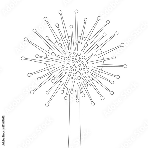 Foto Cartoon sundews plant isolated on white background in black and white