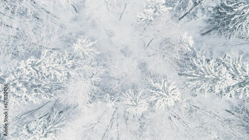 Beautiful aerial top-down view of snow covered pine forests. Rime ice and hoar frost covering trees. Scenic winter landscape.