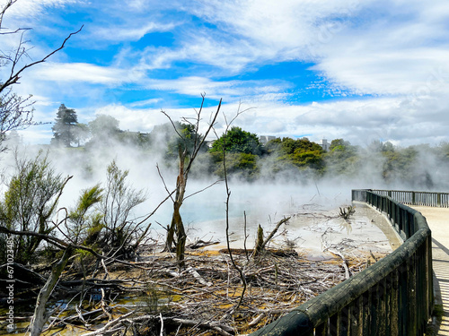 Kuirau Park located in geothermal area in Rotorua,
New Zealand photo