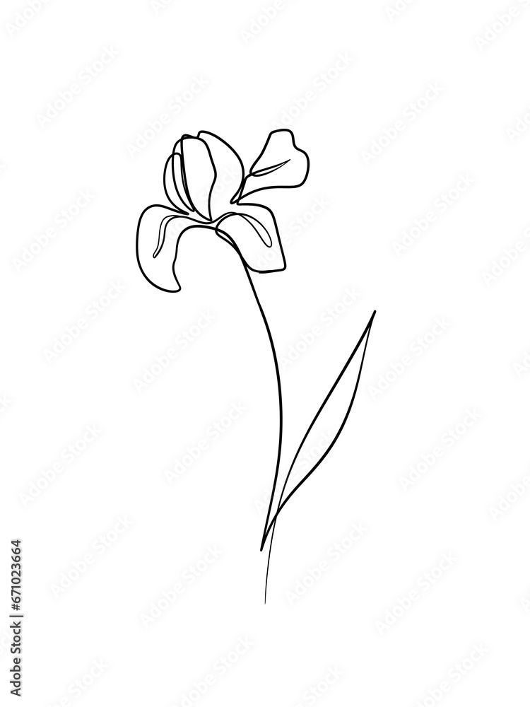 Iris flowers is hand drawn in continuous line art drawing style.  Printable art.