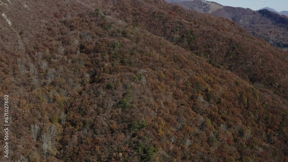 ドローン映像:紅葉と雪山のコラボレーション(白馬村) ドローン映像:紅葉と雪山のコラボレーション(白馬村)