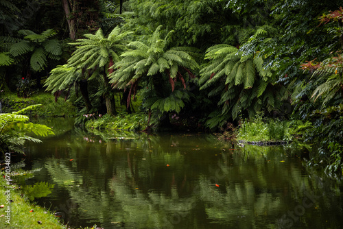 Autumnal landscape  Furnas  botanical garden  Azores islands.